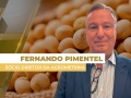 Fernando Pimentel - Sócio Diretor da Agrometrika