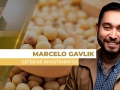 Marcelo Gavlik - Sócio e Assessor da Getreide Investimentos