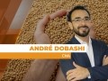 André Dobashi - Presidente da Comissão de Cereais, Fibras e Oleaginosas da CNA