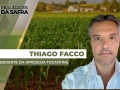 Thiago Facco - vice-presidente da Aprosoja Tocantins