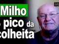 Tempo & Dinheiro