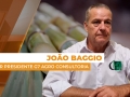 João Baggio - Diretor Presidente  G7 Agro Consultoria