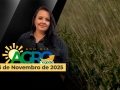 Bom Dia Agro - Com Carla Mendes