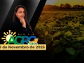 Bom Dia Agro - com Andressa Simão