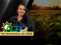 Bom Dia Agro - Com Carla Mendes