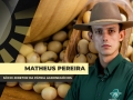 Matheus Pereira - Sócio-Diretor da Pátria Agronegócios