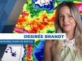 Desirée Brandt - Meteorologista da Nottus