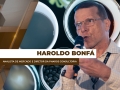 Haroldo Bonfá - Analista de Mercado e Diretor da Pharos Consultoria