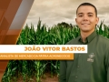 João Vitor Bastos - Analista de Mercado da Pátria Agronegócio