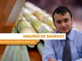 Maurício Muruci - Analista da Safras & Mercado