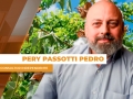 Pery Passotti Pedro - Consultor Independente