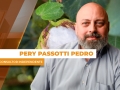 Pery Passotti Pedro - Consultor Independente