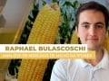 Raphael Bulascoschi - Analista de Inteligência de Mercado de Milho da StoneX