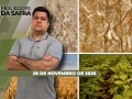 Realidades da Safra - Notícias Agrícolas