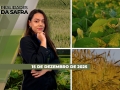Realidades da Safra - Notícias Agrícolas