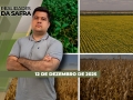 Realidades da Safra - Notícias Agrícolas