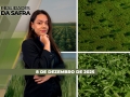 Realidades da Safra - Notícias Agrícolas