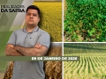Realidades da Safra - Notícias Agrícolas