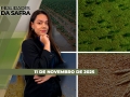 Realidades da Safra - Notícias Agrícolas