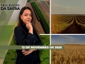 Realidades da Safra - Notícias Agrícolas