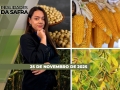 Realidades da Safra - Notícias Agrícolas