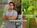 Realidades da Safra - Notícias Agrícolas