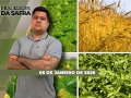 Realidades da Safra - Notícias Agrícolas