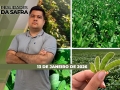 Realidades da Safra - Notícias Agrícolas