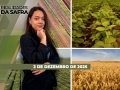 Realidades da Safra - Notícias Agrícolas