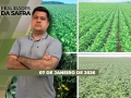 Realidades da Safra - Notícias Agrícolas