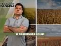 Realidades da Safra - Notícias Agrícolas