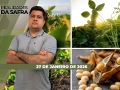 Realidades da Safra - Notícias Agrícolas