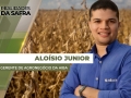 Aloísio Junior - Gerente de Agronegócio da Aiba