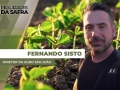 Fernando Sisto - Diretor da Agro São João