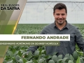 Fernando Andrade - Engenheiro Agrônomo da Schmidt Agrícola