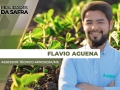 Flavio Aguena - Assessor Técnico Aprosoja/MS