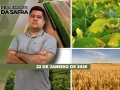 Realidades da Safra - Notícias Agrícolas