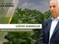 Lúcio Damalia - Produtor Rural em Dourados/MS