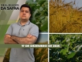 Realidades da Safra - Notícias Agrícolas