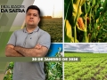Realidades da Safra - Notícias Agrícolas