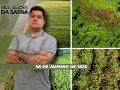 Realidades da Safra - Notícias Agrícolas