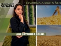 Realidades da Safra - Notícias Agrícolas