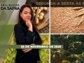 Realidades da Safra - Notícias Agrícolas