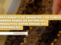 Diego Rorrato - Líder de Tratamento de Sementes da Corteva Agriscience