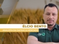 Élcio Bento - Analista da Safras & Mercado