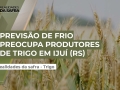 Juliano Lambrecht - Produtor Rural na Região de Ijuí/RS