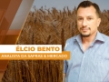 Élcio Bento - Analista da Safras & Mercado