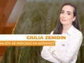 Giulia Zenidin - Analista de Mercado da Agrinvest