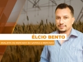 Élcio Bento - Analista da Safras & Mercado