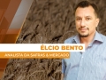 Élcio Bento - Analista da Safras & Mercado